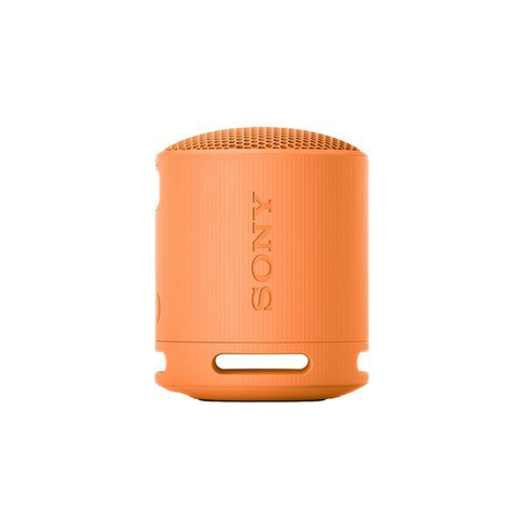 SRS-XB100 Portable Bluetooth Speaker