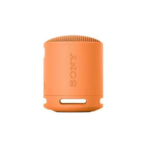 SRS - XB100 Portable Bluetooth Speaker - Fotosound Jersey LTD.